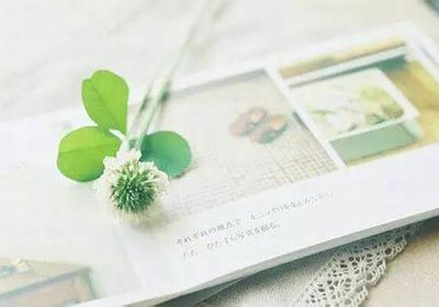 作文写作指南，从基础到进阶